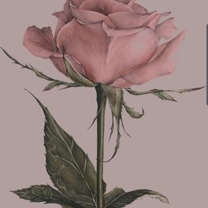 Meet your Posher, Ali